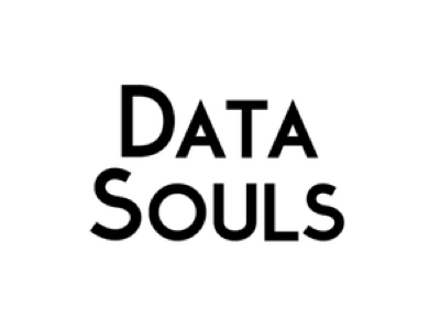 Логотип клиента: Data Souls